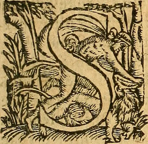 An illustration from L'Hystoire des devx nobles et tres vaillans chevaliers nommez Milles et Amys, : Lesquels en leur viuant furent plains de grandes proësses. Contenant plusieurs et diuerses matieres, comme vous pourrez veoir cy apres, 1611, leaf 120
