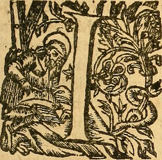 An illustration from L'Hystoire des devx nobles et tres vaillans chevaliers nommez Milles et Amys, : Lesquels en leur viuant furent plains de grandes proësses. Contenant plusieurs et diuerses matieres, comme vous pourrez veoir cy apres, 1611, leaf 140