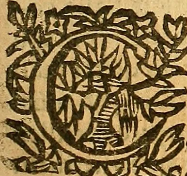 An illustration from L'Hystoire des devx nobles et tres vaillans chevaliers nommez Milles et Amys, : Lesquels en leur viuant furent plains de grandes proësses. Contenant plusieurs et diuerses matieres, comme vous pourrez veoir cy apres, 1611, leaf 160