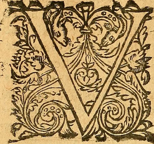 An illustration from L'Hystoire des devx nobles et tres vaillans chevaliers nommez Milles et Amys, : Lesquels en leur viuant furent plains de grandes proësses. Contenant plusieurs et diuerses matieres, comme vous pourrez veoir cy apres, 1611, leaf 171