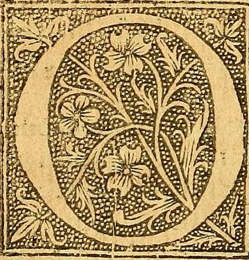 An illustration from L'Hystoire des devx nobles et tres vaillans chevaliers nommez Milles et Amys, : Lesquels en leur viuant furent plains de grandes proësses. Contenant plusieurs et diuerses matieres, comme vous pourrez veoir cy apres, 1611, leaf 173