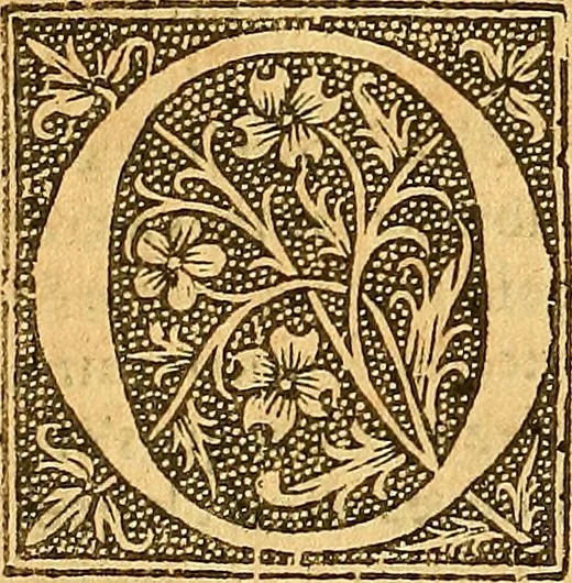 An illustration from L'Hystoire des devx nobles et tres vaillans chevaliers nommez Milles et Amys, : Lesquels en leur viuant furent plains de grandes proësses. Contenant plusieurs et diuerses matieres, comme vous pourrez veoir cy apres, 1611, leaf 199