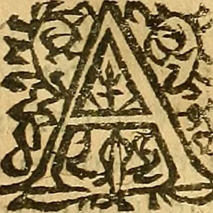 An illustration from L'Hystoire des devx nobles et tres vaillans chevaliers nommez Milles et Amys, : Lesquels en leur viuant furent plains de grandes proësses. Contenant plusieurs et diuerses matieres, comme vous pourrez veoir cy apres, 1611, leaf 28