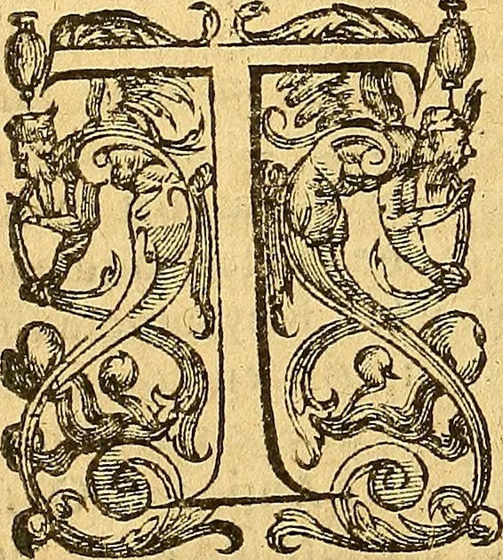 An illustration from L'Hystoire des devx nobles et tres vaillans chevaliers nommez Milles et Amys, : Lesquels en leur viuant furent plains de grandes proësses. Contenant plusieurs et diuerses matieres, comme vous pourrez veoir cy apres, 1611, leaf 29