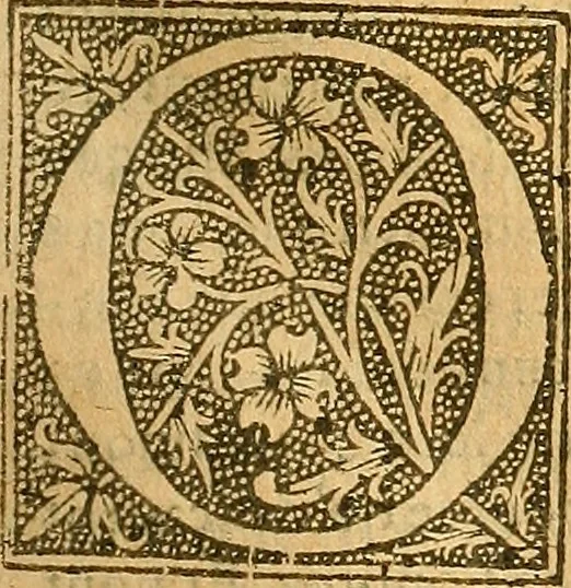An illustration from L'Hystoire des devx nobles et tres vaillans chevaliers nommez Milles et Amys, : Lesquels en leur viuant furent plains de grandes proësses. Contenant plusieurs et diuerses matieres, comme vous pourrez veoir cy apres, 1611, leaf 42