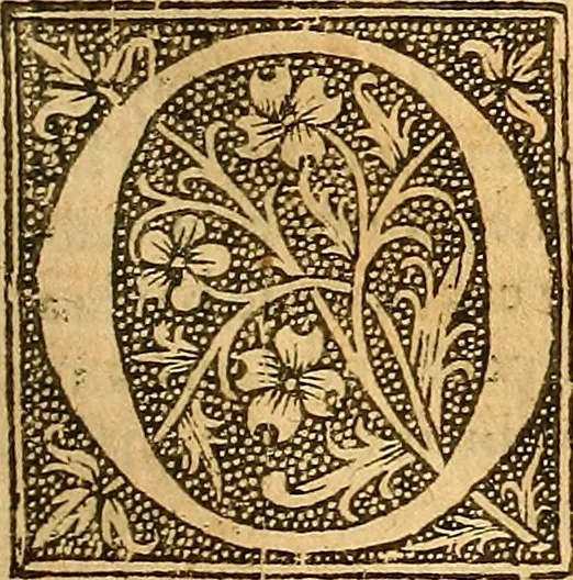 An illustration from L'Hystoire des devx nobles et tres vaillans chevaliers nommez Milles et Amys, : Lesquels en leur viuant furent plains de grandes proësses. Contenant plusieurs et diuerses matieres, comme vous pourrez veoir cy apres, 1611, leaf 62
