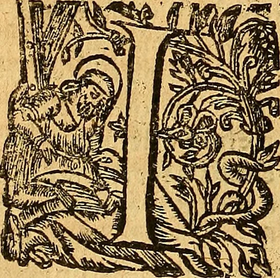 An illustration from L'Hystoire des devx nobles et tres vaillans chevaliers nommez Milles et Amys, : Lesquels en leur viuant furent plains de grandes proësses. Contenant plusieurs et diuerses matieres, comme vous pourrez veoir cy apres, 1611, leaf 99