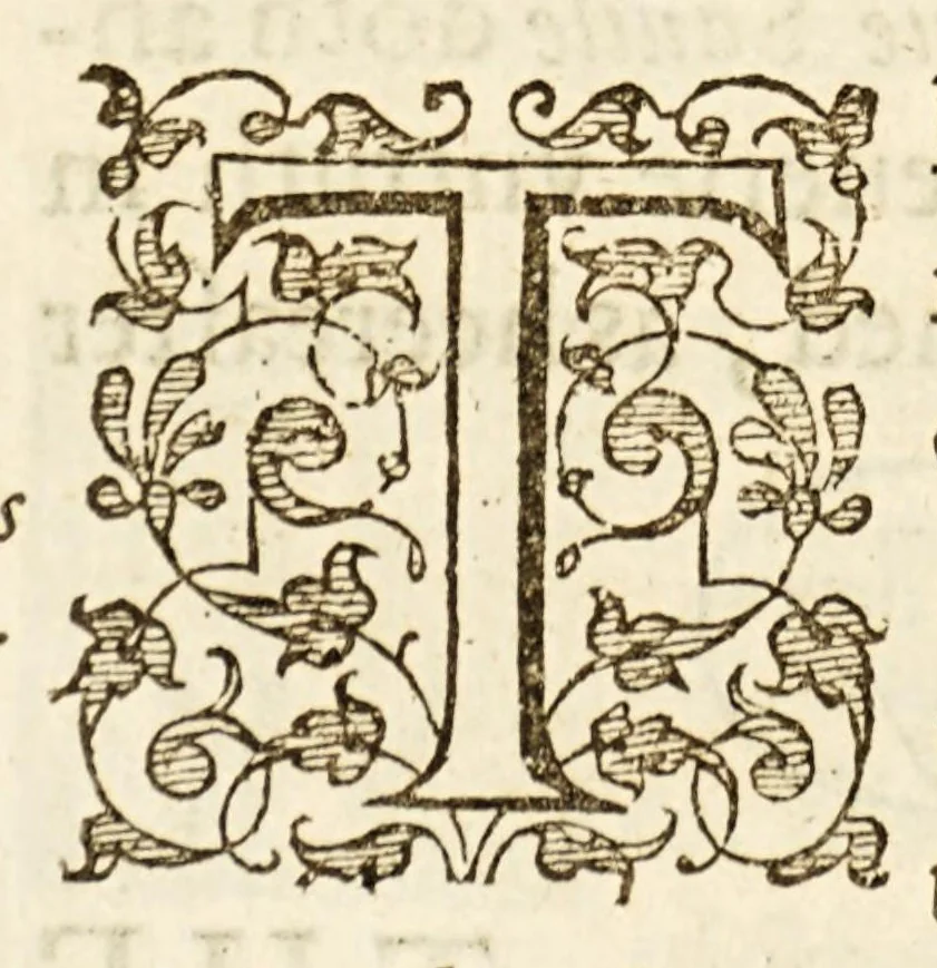 An illustration from A libell of Spanish lies: : found at the sacke of Cales, discoursing the fight in the West Indies, twixt the English nauie being fourteene ships and pinasses, and a fleete of twentie saile of the king of Spaines, and of the death of Sir Francis Drake. : With an answere briefely confuting the Spanish lies, and a short relation of the fight according to truth, 1596, leaf 32