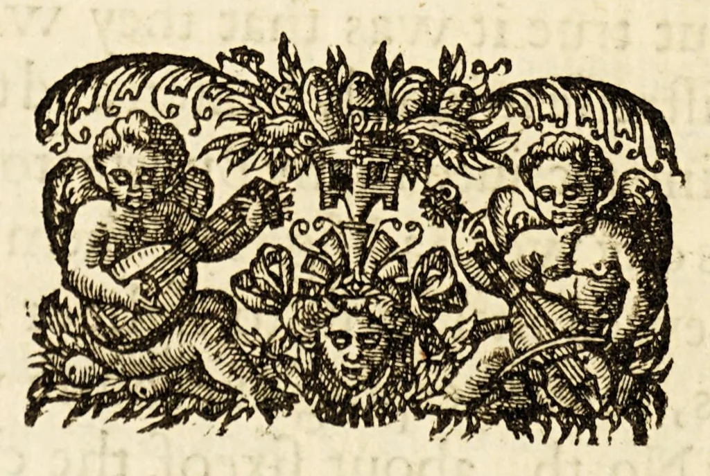 An illustration from A libell of Spanish lies: : found at the sacke of Cales, discoursing the fight in the West Indies, twixt the English nauie being fourteene ships and pinasses, and a fleete of twentie saile of the king of Spaines, and of the death of Sir Francis Drake. : With an answere briefely confuting the Spanish lies, and a short relation of the fight according to truth, 1596, leaf 58