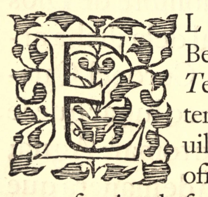 An illustration from A libell of Spanish lies: fovnd at the sacke of Cales, discoursing the fight in the West Indies, twixt the English nauie being fourteene ships and pinasses, and a fleete of twentie saile of the king of Spaines, and of the death of Sir Francis Drake. With an answere briefely confuting the Spanish lies, and a short relation of the fight according to truth, written by Henri Sauile Esquire. And also an approbation of this discourse, by Sir Thomas Baskeruile, then generall of the English fleete in that seruice: auowing the maintenance thereof, personally in armes against Don Bernaldino, if hee shall take exceptions to that which is heere set downe, touching the fight twixt both nauies, or iustifie that which he hath most falsely reported in his vaine printed letter, 1596, leaf 18