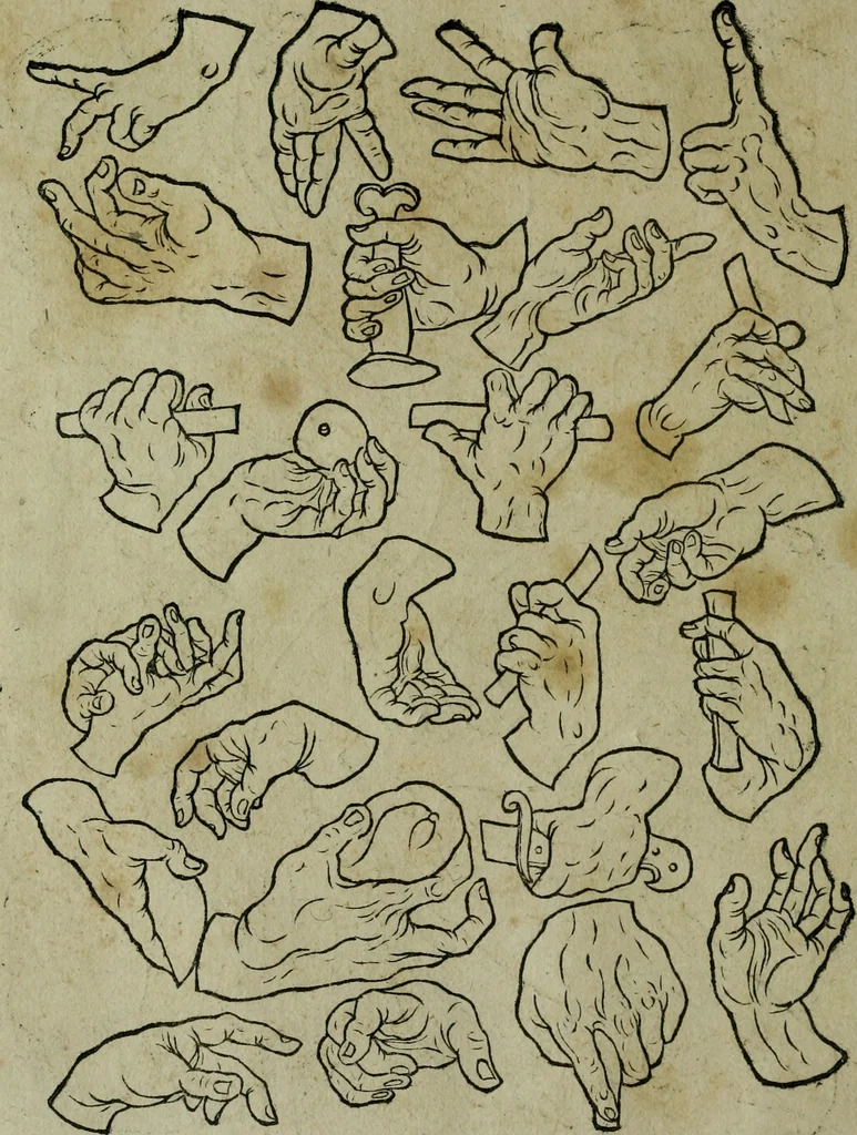 An illustration from Libellus artificiosus omnibus pictoribus, statuarijs, aurifabris, lapidicidis, arcularijs, laminarijs & cultrarijs fabris, sumopere utilis, nec à quae[que] antea uisus, nec prius editus, 1539, leaf 21