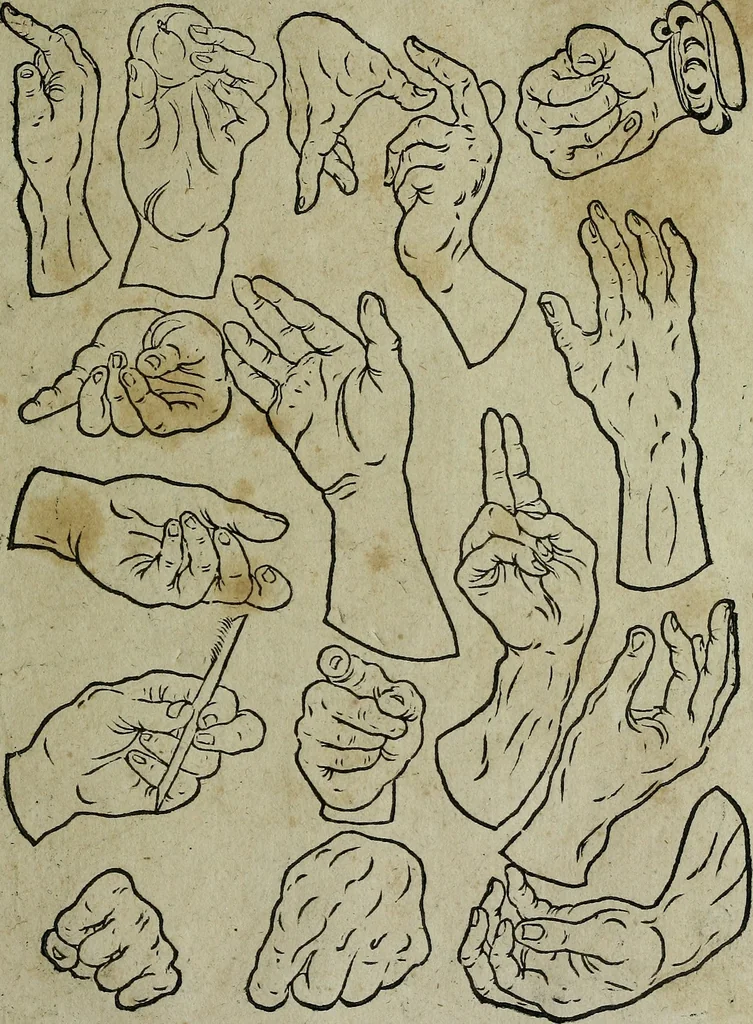 An illustration from Libellus artificiosus omnibus pictoribus, statuarijs, aurifabris, lapidicidis, arcularijs, laminarijs & cultrarijs fabris, sumopere utilis, nec à quae[que] antea uisus, nec prius editus, 1539, leaf 22