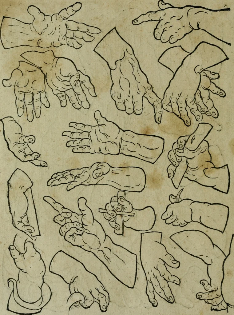 An illustration from Libellus artificiosus omnibus pictoribus, statuarijs, aurifabris, lapidicidis, arcularijs, laminarijs & cultrarijs fabris, sumopere utilis, nec à quae[que] antea uisus, nec prius editus, 1539, leaf 23
