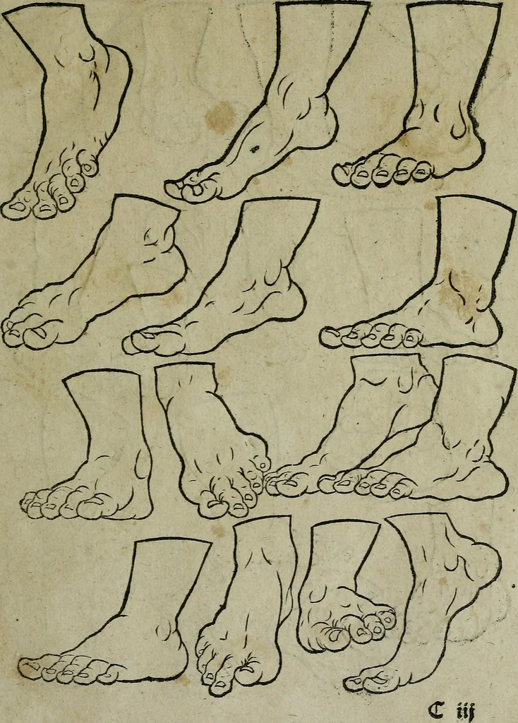 An illustration from Libellus artificiosus omnibus pictoribus, statuarijs, aurifabris, lapidicidis, arcularijs, laminarijs & cultrarijs fabris, sumopere utilis, nec à quae[que] antea uisus, nec prius editus, 1539, leaf 24