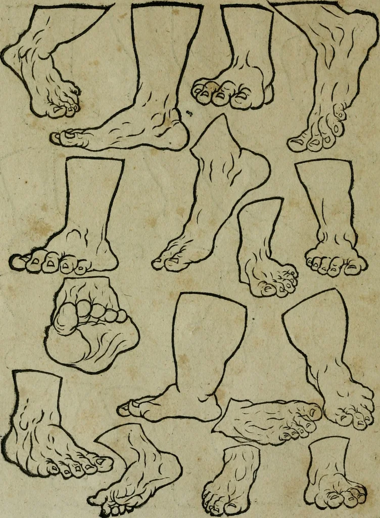 An illustration from Libellus artificiosus omnibus pictoribus, statuarijs, aurifabris, lapidicidis, arcularijs, laminarijs & cultrarijs fabris, sumopere utilis, nec à quae[que] antea uisus, nec prius editus, 1539, leaf 25