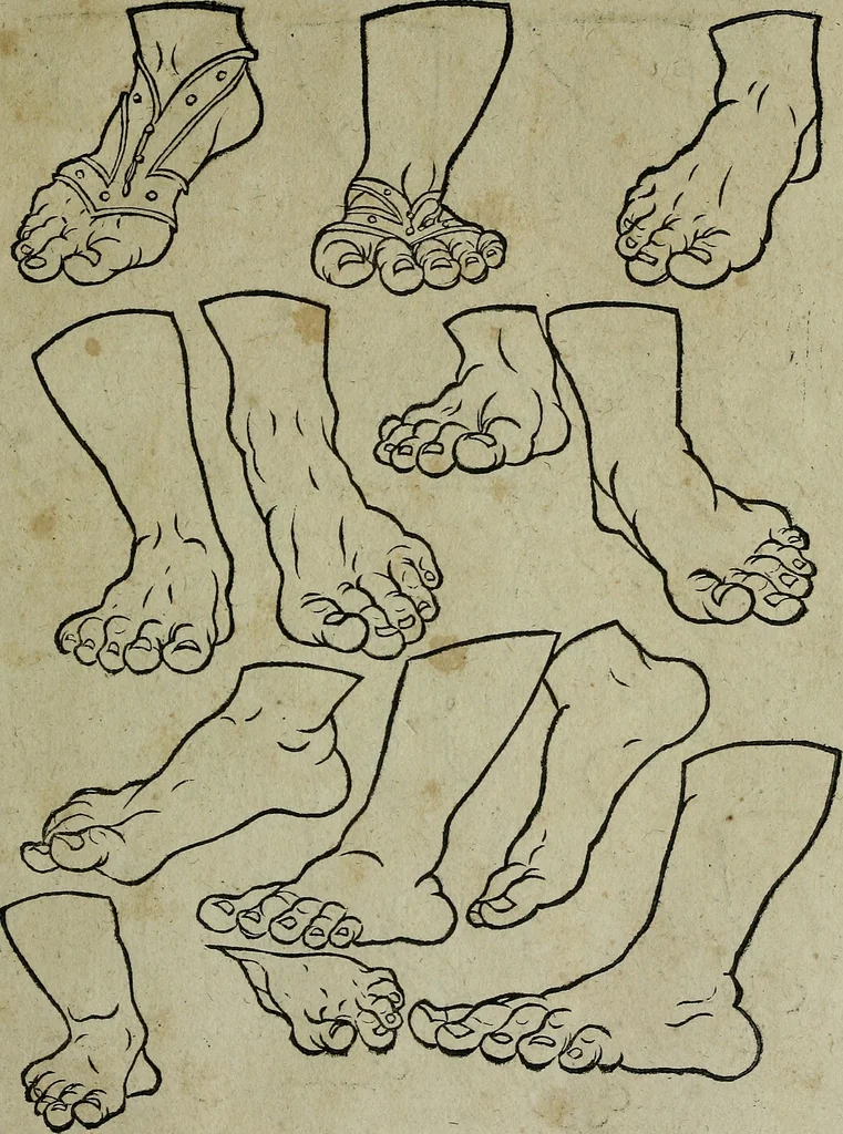 An illustration from Libellus artificiosus omnibus pictoribus, statuarijs, aurifabris, lapidicidis, arcularijs, laminarijs & cultrarijs fabris, sumopere utilis, nec à quae[que] antea uisus, nec prius editus, 1539, leaf 26