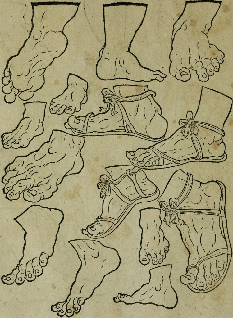 An illustration from Libellus artificiosus omnibus pictoribus, statuarijs, aurifabris, lapidicidis, arcularijs, laminarijs & cultrarijs fabris, sumopere utilis, nec à quae[que] antea uisus, nec prius editus, 1539, leaf 27