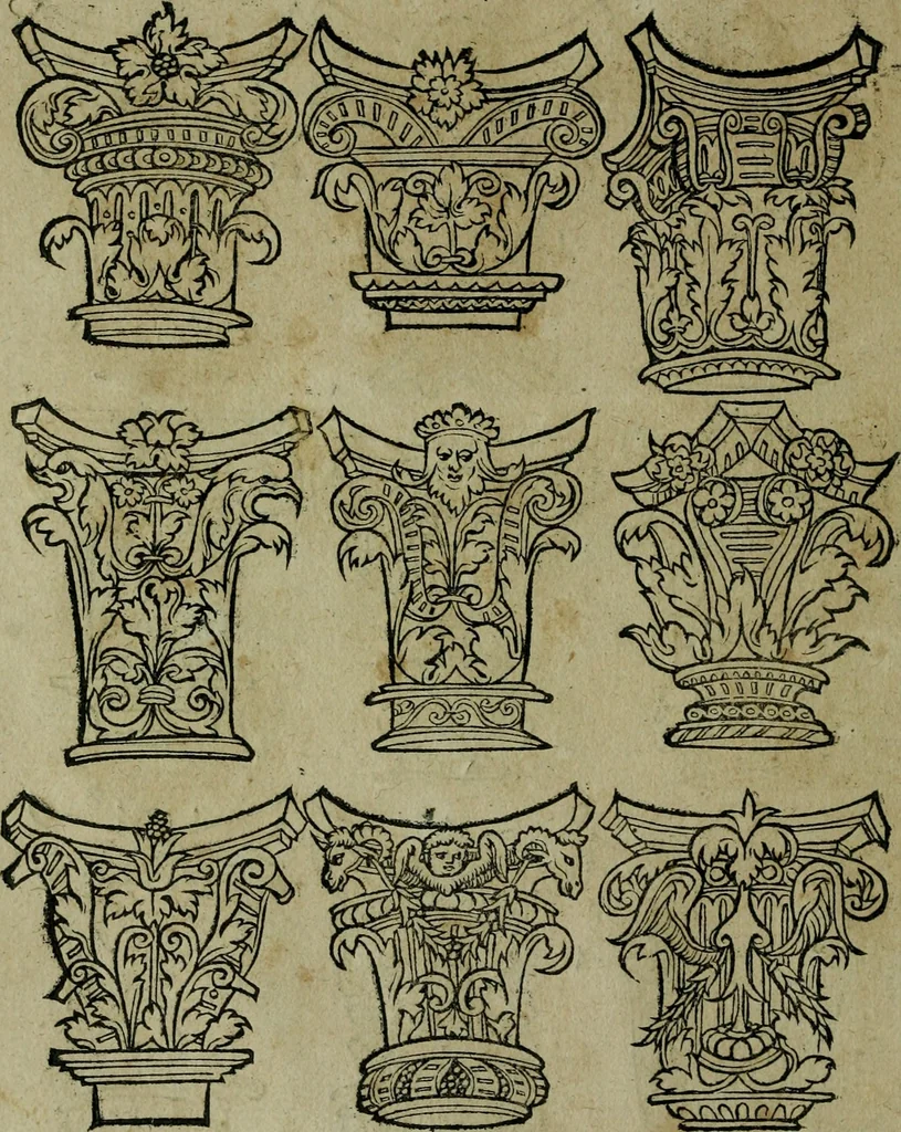 An illustration from Libellus artificiosus omnibus pictoribus, statuarijs, aurifabris, lapidicidis, arcularijs, laminarijs & cultrarijs fabris, sumopere utilis, nec à quae[que] antea uisus, nec prius editus, 1539, leaf 45