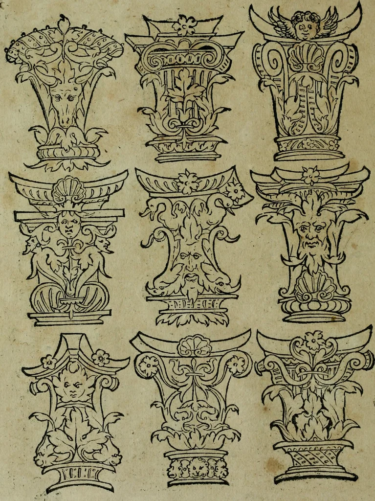 An illustration from Libellus artificiosus omnibus pictoribus, statuarijs, aurifabris, lapidicidis, arcularijs, laminarijs & cultrarijs fabris, sumopere utilis, nec à quae[que] antea uisus, nec prius editus, 1539, leaf 47