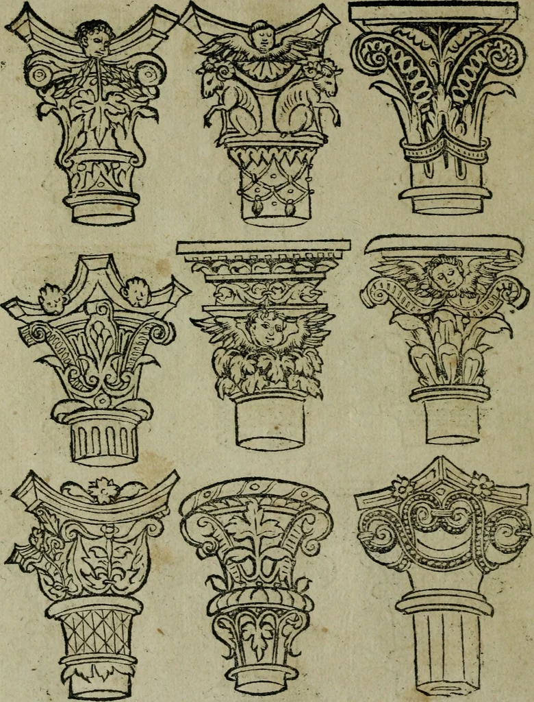 An illustration from Libellus artificiosus omnibus pictoribus, statuarijs, aurifabris, lapidicidis, arcularijs, laminarijs & cultrarijs fabris, sumopere utilis, nec à quae[que] antea uisus, nec prius editus, 1539, leaf 51