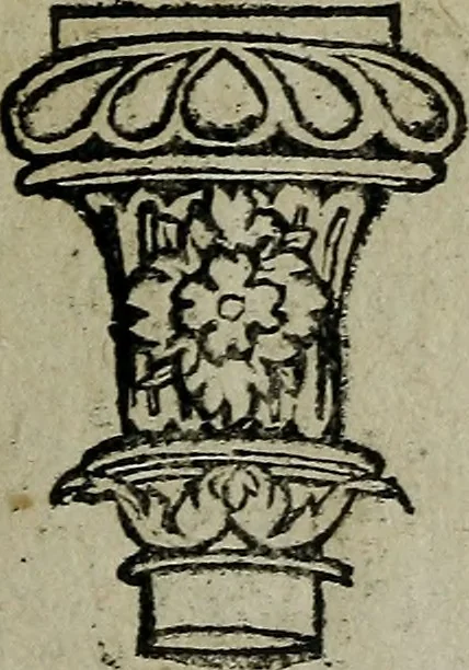 An illustration from Libellus artificiosus omnibus pictoribus, statuarijs, aurifabris, lapidicidis, arcularijs, laminarijs & cultrarijs fabris, sumopere utilis, nec à quae[que] antea uisus, nec prius editus, 1539, leaf 52
