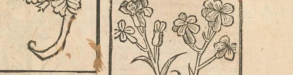 An illustration from Liber der arte distulandi simplicia et composita : das nüv bůch d[er] rechte[n] Kunst zů distilliere[n], 1509, leaf 141