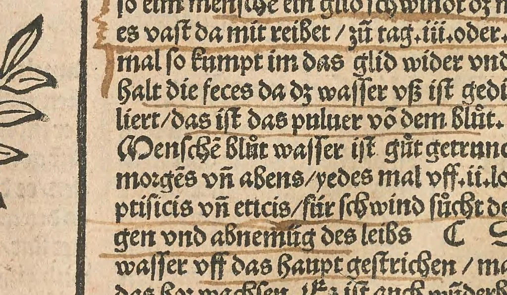 An illustration from Liber der arte distulandi simplicia et composita : das nüv bůch d[er] rechte[n] Kunst zů distilliere[n], 1509, leaf 184