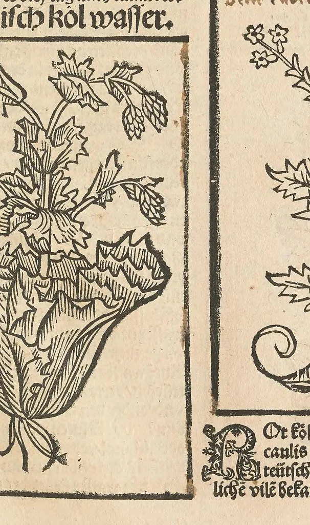 An illustration from Liber der arte distulandi simplicia et composita : das nüv bůch d[er] rechte[n] Kunst zů distilliere[n], 1509, leaf 215
