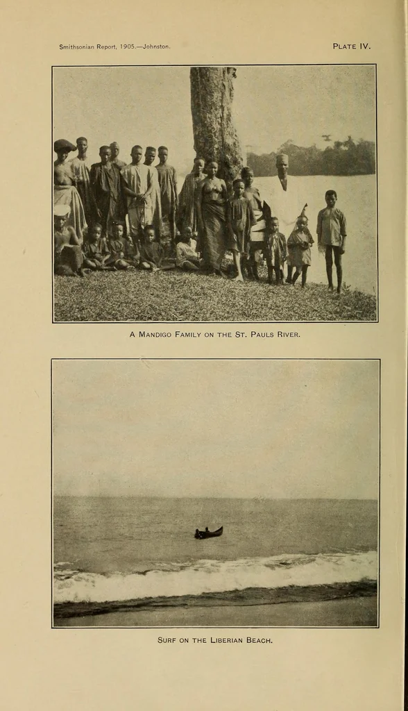 An illustration from Liberia, 1907, leaf 12