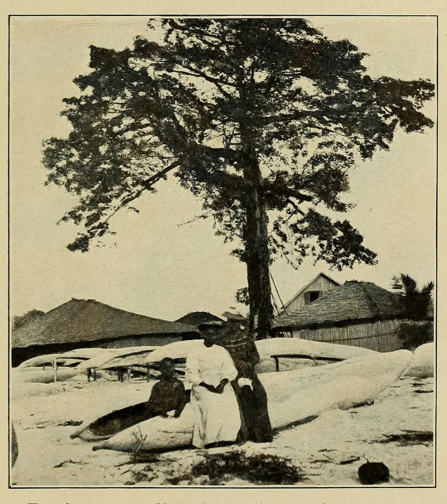 An illustration from Liberia, 1907, leaf 23