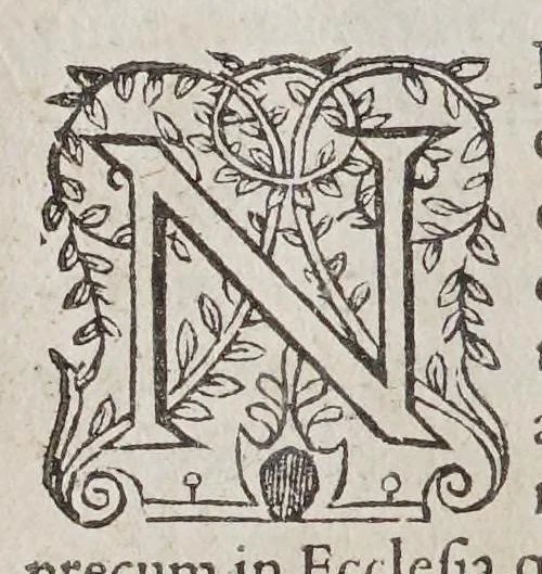 An illustration from Liber precum publicarum, seu ministerij ecclesiasticae administrationis sacramentorum, aliorumque rituum, & caeremoniarum, in Ecclesia Anglicana., 1574, leaf 20