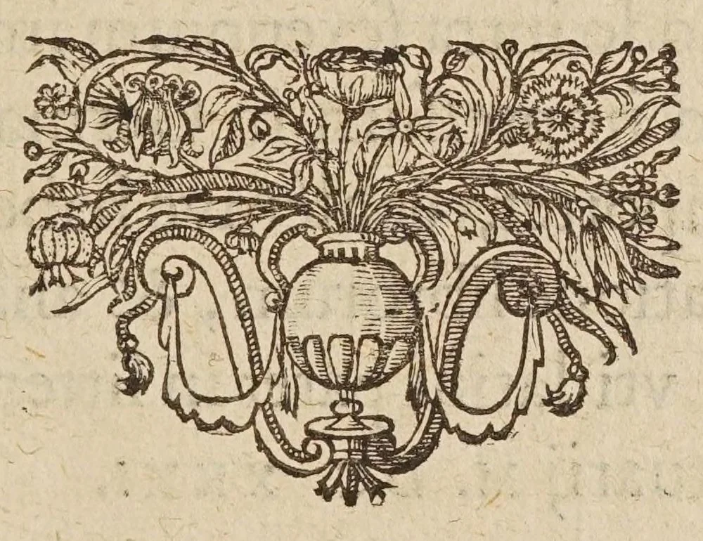 An illustration from Liberti Fromondi ... Labyrinthvs, sive, De compositione continvi liber vnvs : philosophis, mathematicis, theologis vtilis ac iucundus., 1631, leaf 213