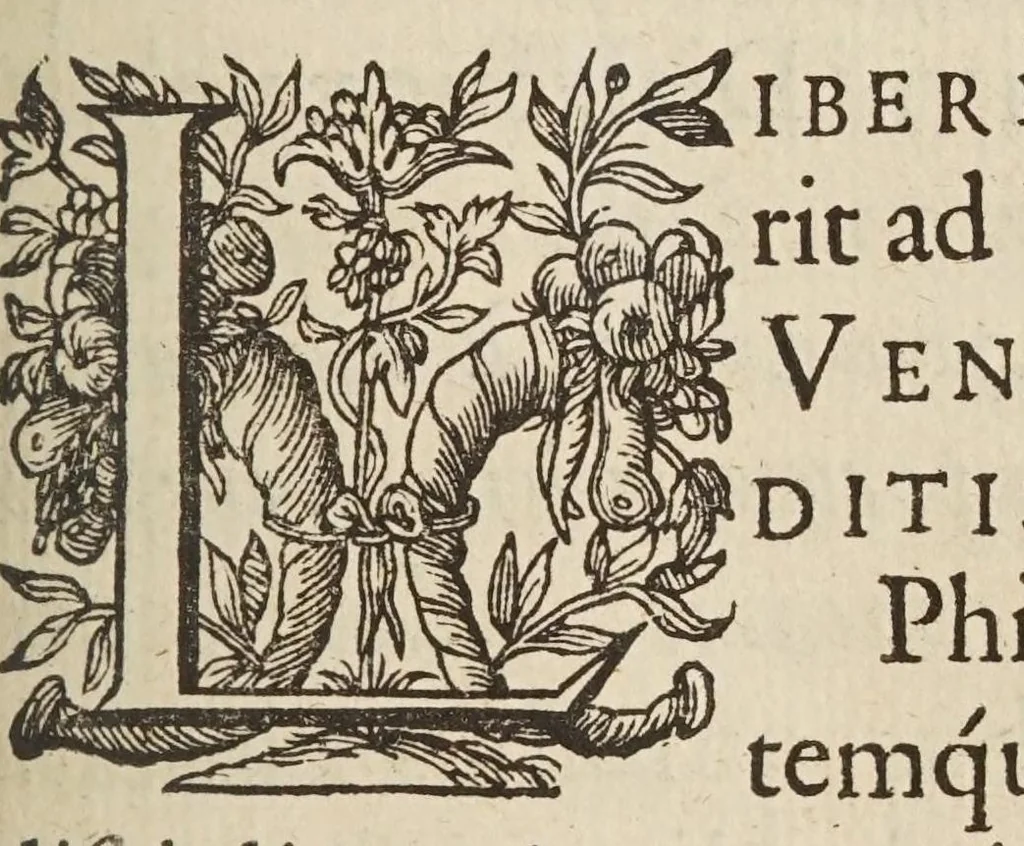 An illustration from Liberti Fromondi ... Labyrinthvs, sive, De compositione continvi liber vnvs : philosophis, mathematicis, theologis vtilis ac iucundus., 1631, leaf 3