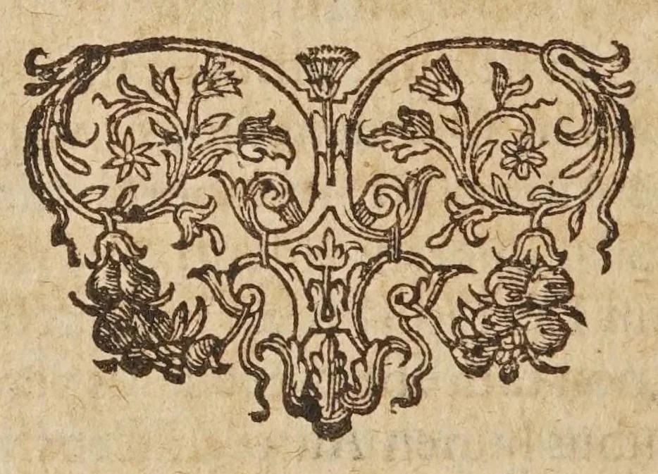 An illustration from Liberti Fromondi ... Meteorologicorvm libri sex., 1627, leaf 436