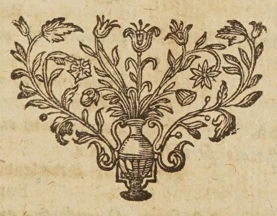 An illustration from Liberti Fromondi ... Meteorologicorvm libri sex., 1627, leaf 441