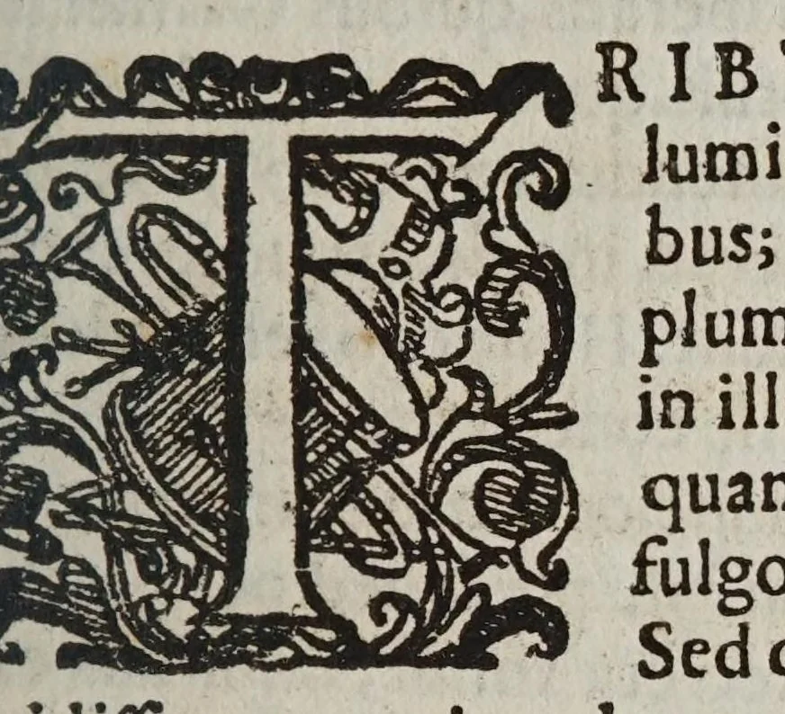 An illustration from Libra astronomica ac philosophica : qua Galilaei Galilaei opiniones de cometis a Mario Gvidvcio in Florentina Academia expositae, atque in lucem nuper editae, examinantur, 1619, leaf 7