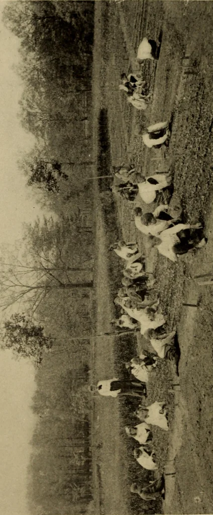 An illustration from The library at work and play, 1912, leaf 129
