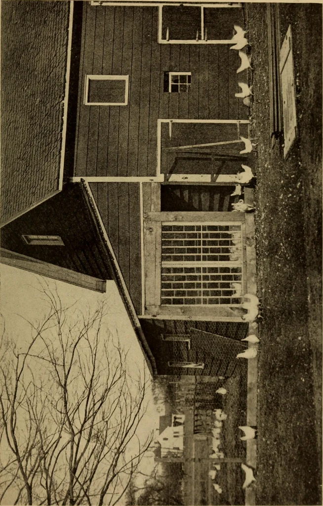 An illustration from The library at work and play, 1912, leaf 132