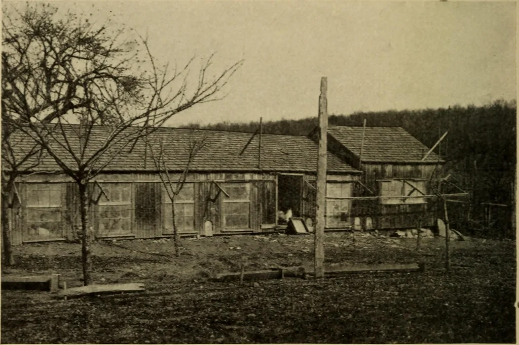 An illustration from The library at work and play, 1912, leaf 133