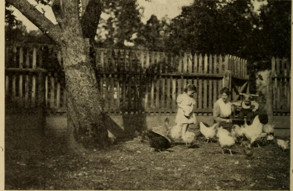 An illustration from The library at work and play, 1912, leaf 133