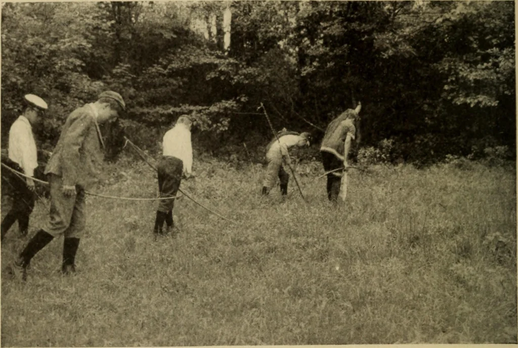 An illustration from The library at work and play, 1912, leaf 137