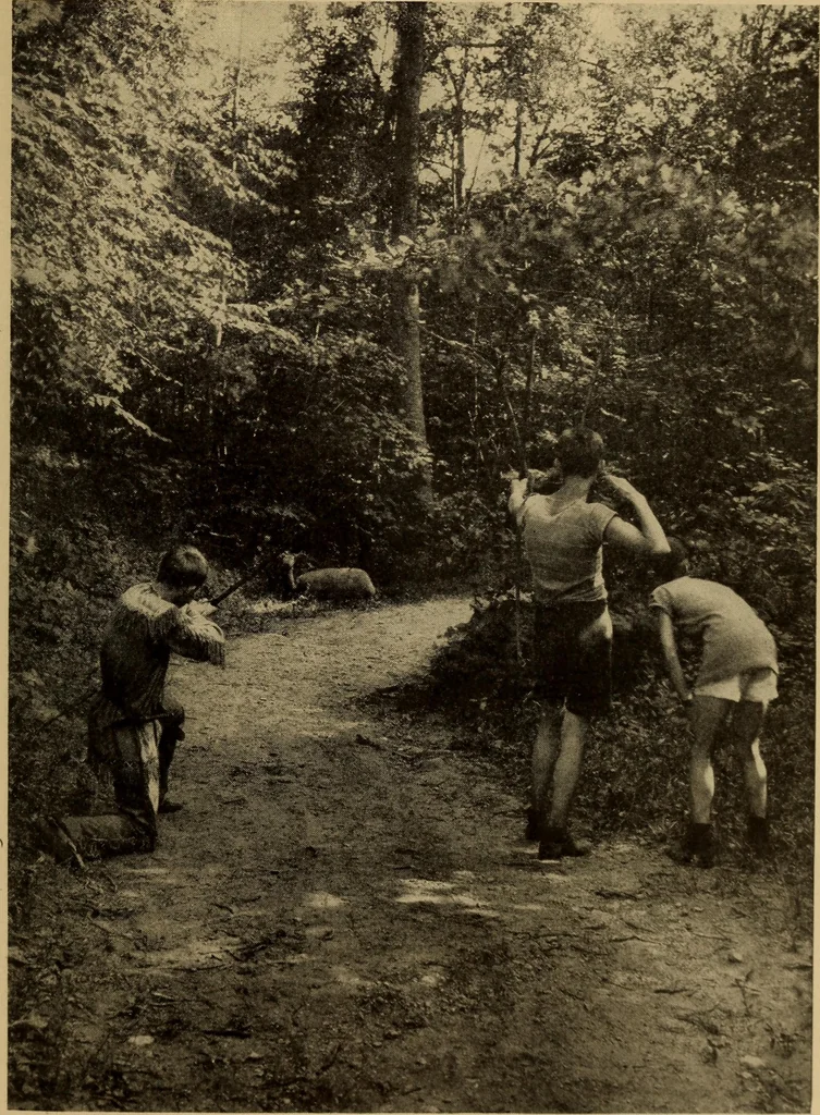 An illustration from The library at work and play, 1912, leaf 140