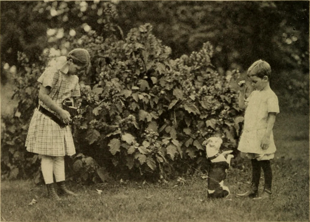 An illustration from The library at work and play, 1912, leaf 141