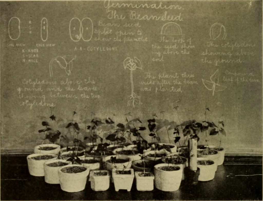 An illustration from The library at work and play, 1912, leaf 21