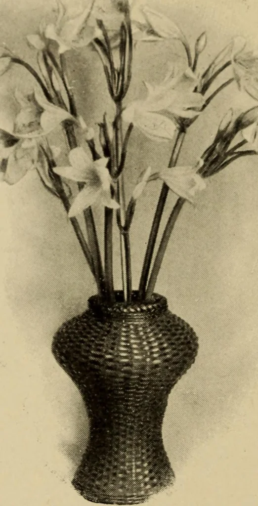 An illustration from The library at work and play, 1912, leaf 41