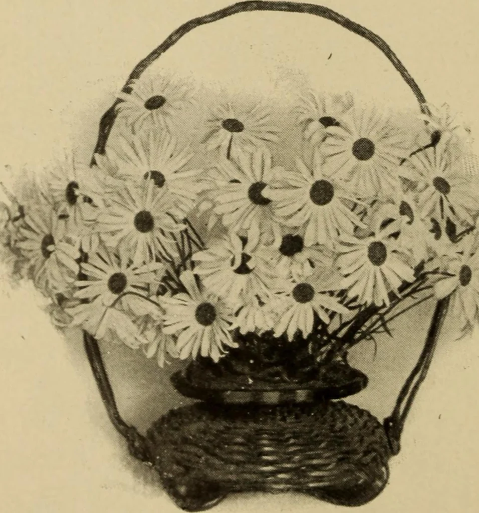 An illustration from The library at work and play, 1912, leaf 41