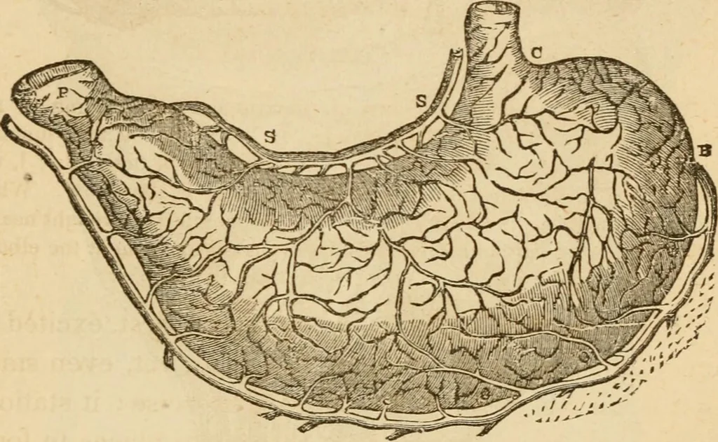 An illustration from Library of mesmerism and psychology, 1871, leaf 314