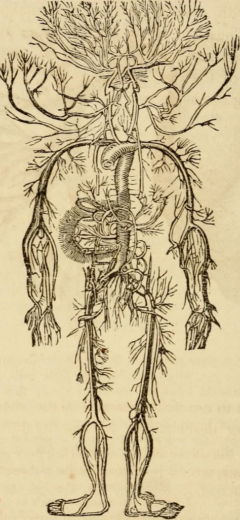 An illustration from Library of mesmerism and psychology, 1871, leaf 321