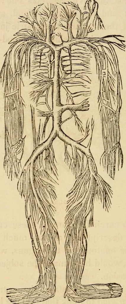 An illustration from Library of mesmerism and psychology, 1871, leaf 323