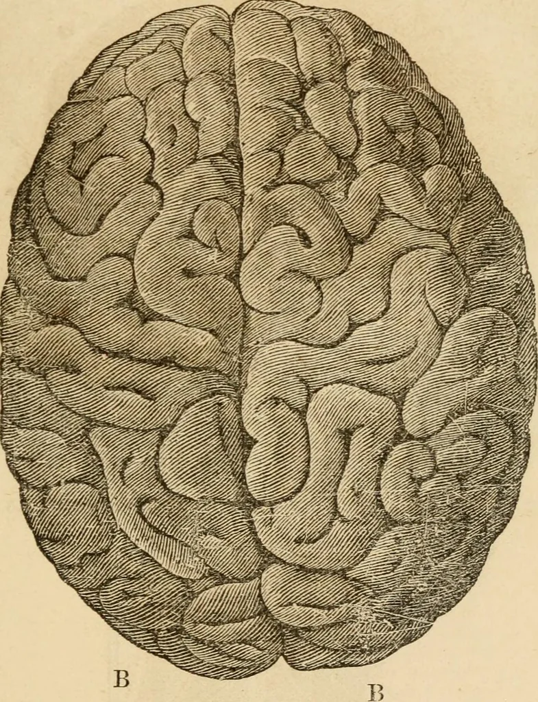 An illustration from Library of mesmerism and psychology, 1871, leaf 800